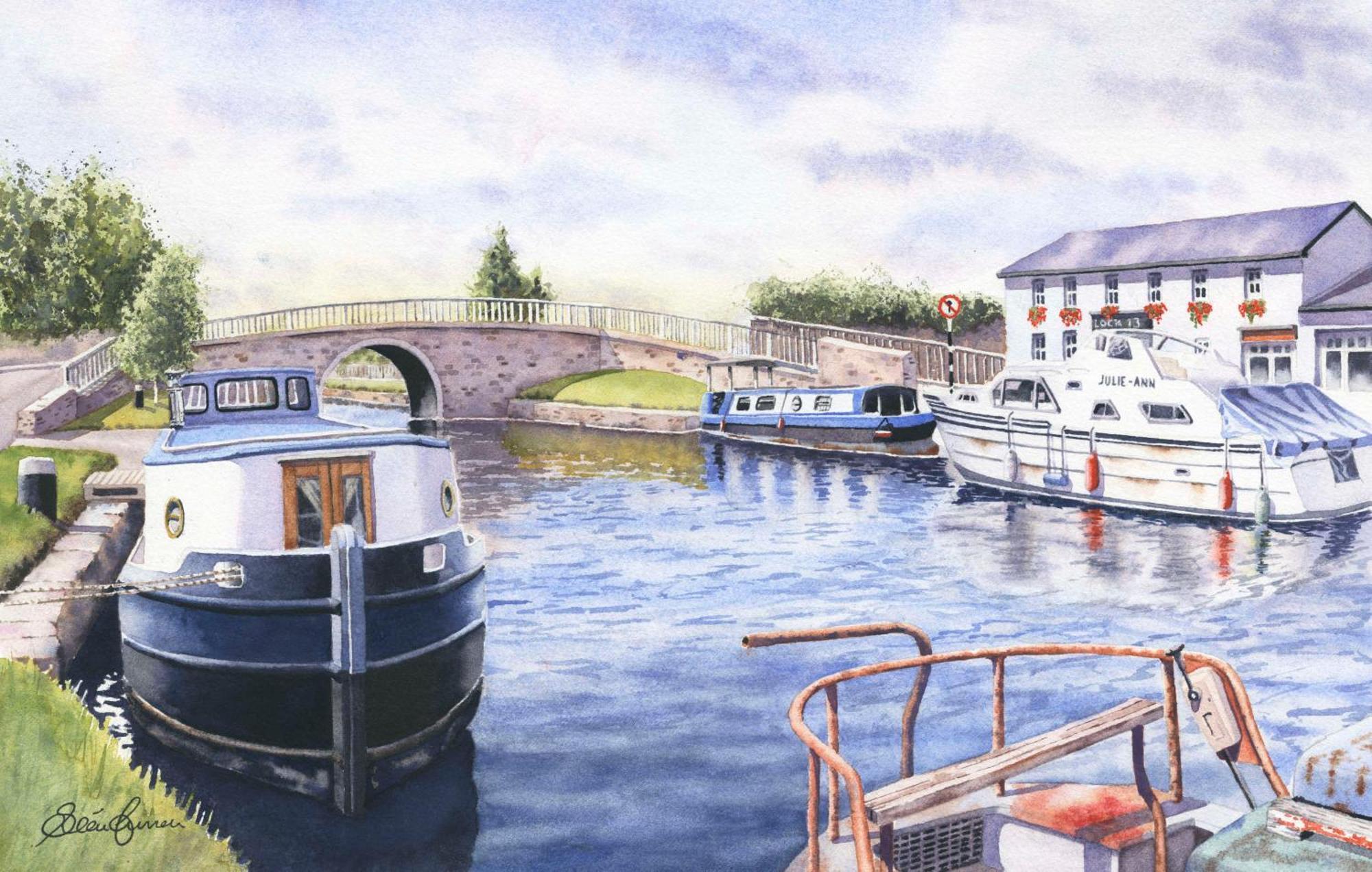 Roisin Dubh Houseboat Ξενοδοχείο Sallins Εξωτερικό φωτογραφία
