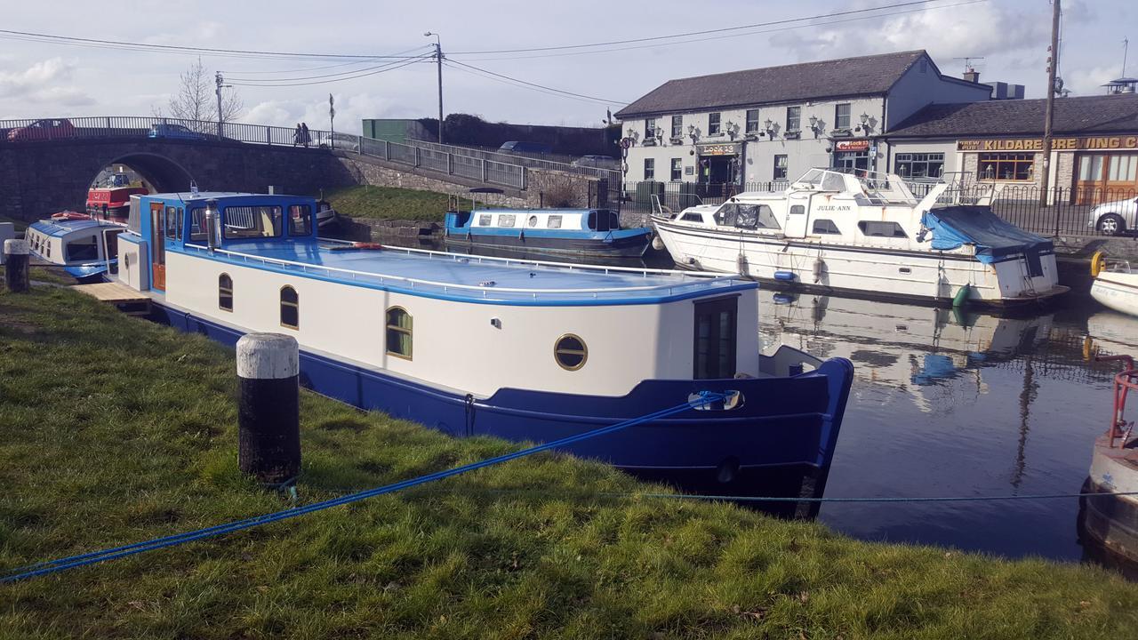 Roisin Dubh Houseboat Ξενοδοχείο Sallins Εξωτερικό φωτογραφία